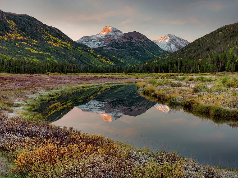 Christmas Meadows in the High Uintas